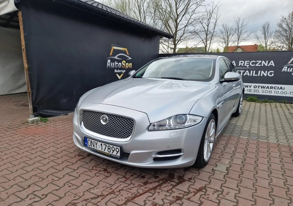 Jaguar XJ cena 62000 przebieg: 224000, rok produkcji 2011 z Mirosławiec małe 407